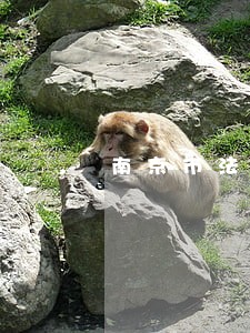 南京市法院招考 南京市法院招考