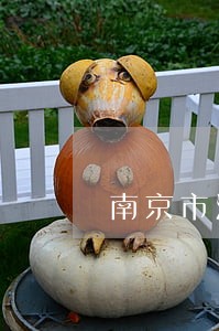 南京市法院王玲玲 南京市法院王玲玲