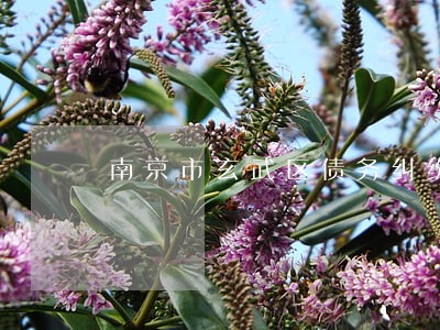 南京市玄武区债务纠纷律师 南京市玄武区债务纠纷律师
