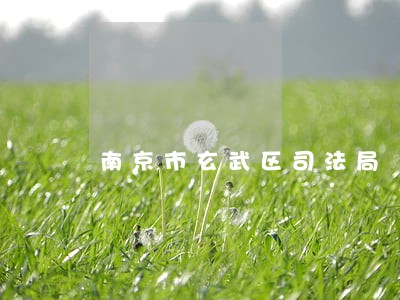 南京市玄武区司法局 南京市玄武区司法局
