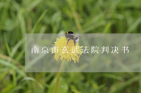 南京市玄武法院判决书 南京市玄武法院判决书