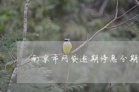 南京市网贷逾期停息分期怎么协商 南京市网贷逾期停息分期怎么协商