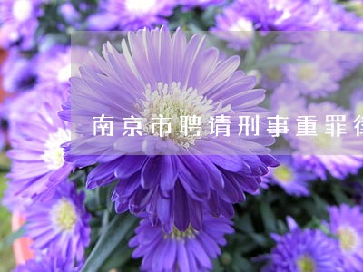 南京市聘请刑事重罪律师 南京市聘请刑事重罪律师