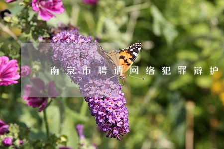 南京市聘请网络犯罪辩护律师排行 南京市聘请网络犯罪辩护律师排行