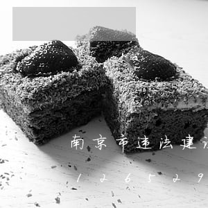 南京市违法建设分类处置办法/2023012652966