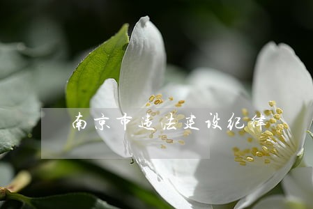 南京市违法建设纪律