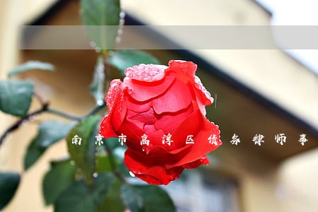 南京市高淳区债务律师事务所 南京市高淳区债务律师事务所