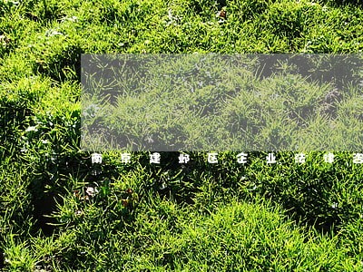 南京建邺区企业法律咨询 南京建邺区企业法律咨询
