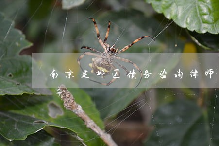 南京建邺区债务咨询律师 南京建邺区债务咨询律师