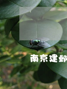 南京建邺区法院上班时间
