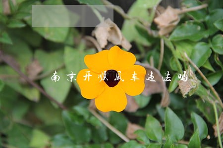 南京开顺风车违法吗 南京开顺风车违法吗