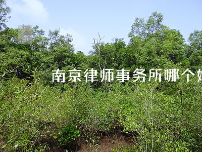 南京律师事务所哪个好 南京律师事务所哪个好