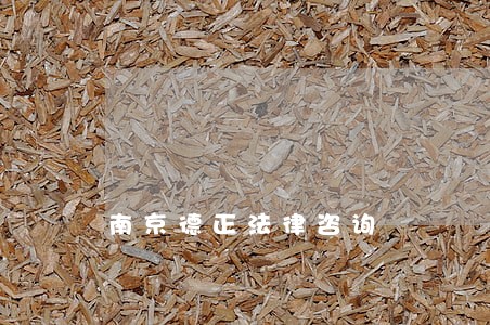 南京德正法律咨询