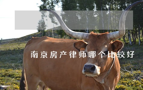 南京房产律师哪个比较好 南京房产律师哪个比较好