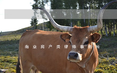南京房产类律师事务所 南京房产类律师事务所