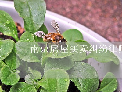 南京房屋买卖纠纷律师微信了解