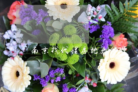 南京找代理房地产律师 南京找代理房地产律师
