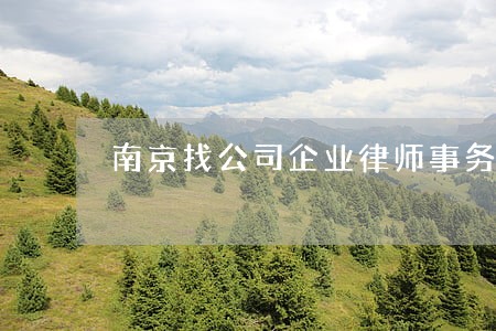 南京找公司企业律师事务所 南京找公司企业律师事务所