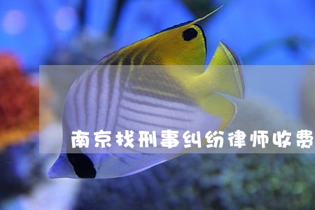 南京找刑事纠纷律师收费标准 南京找刑事纠纷律师收费标准