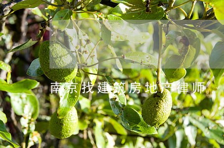 南京找建筑房地产律师 南京找建筑房地产律师