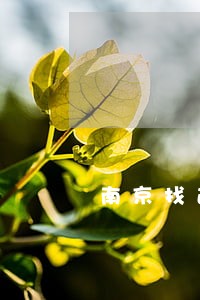 南京找遗产继承律师