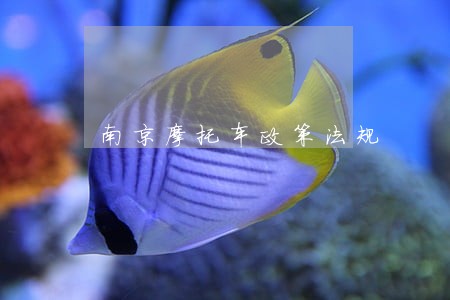 南京摩托车政策法规
