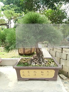 南京敲诈勒索罪的立案标准 南京敲诈勒索罪的立案标准