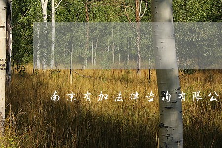 南京有加法律咨询有限公司怎么样 南京有加法律咨询有限公司怎么样