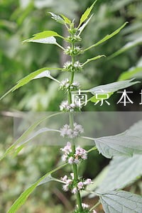 南京本地律师多少钱 南京本地律师多少钱