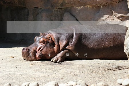 南京朱宏律师网 南京朱宏律师网