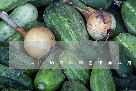 南京栖霞区知名律师费用 南京栖霞区知名律师费用