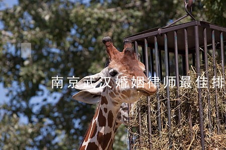 南京武汉婚姻律师最佳排名 南京武汉婚姻律师最佳排名