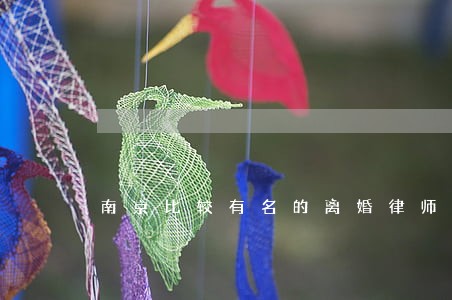 南京比较有名的离婚律师 南京比较有名的离婚律师
