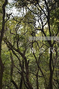 南京民事债务纠纷案件律师 南京民事债务纠纷案件律师