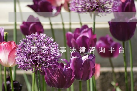 南京民事法律咨询平台 南京民事法律咨询平台