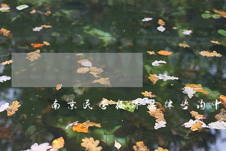 南京民营经济法律咨询中心 南京民营经济法律咨询中心