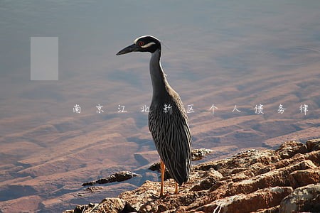南京江北新区个人债务律师哪里找 南京江北新区个人债务律师哪里找