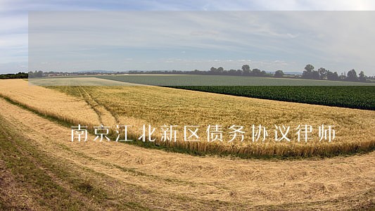 南京江北新区债务协议律师 南京江北新区债务协议律师