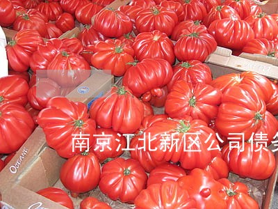 南京江北新区公司债务律师推荐 南京江北新区公司债务律师推荐