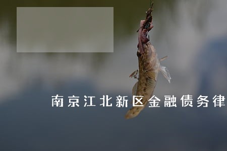 南京江北新区金融债务律师电话 南京江北新区金融债务律师电话