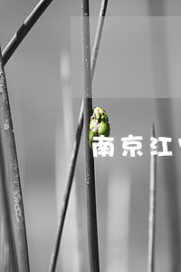 南京江宁区个人债务律师电话 南京江宁区个人债务律师电话