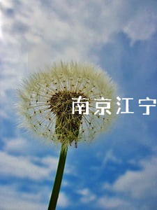 南京江宁区婚姻家事律师哪个好 南京江宁区婚姻家事律师哪个好