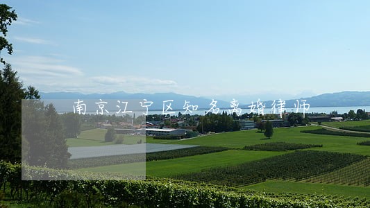 南京江宁区知名离婚律师 南京江宁区知名离婚律师
