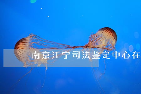 南京江宁司法鉴定中心在哪 南京江宁司法鉴定中心在哪