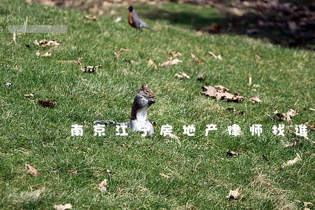 南京江宁房地产律师找谁 南京江宁房地产律师找谁