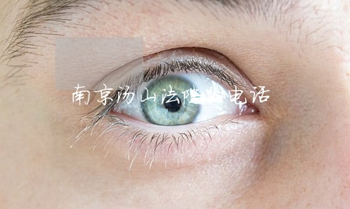 南京汤山法院的电话 南京汤山法院的电话