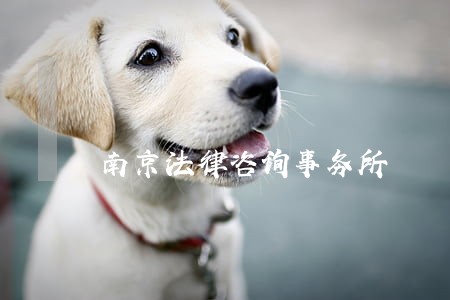 南京法律咨询事务所 南京法律咨询事务所