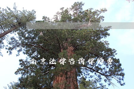 南京法律咨询律师费 南京法律咨询律师费