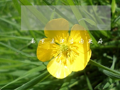 南京法律咨询政府