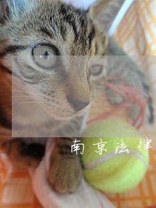 南京法律顾问公司价格表 南京法律顾问公司价格表